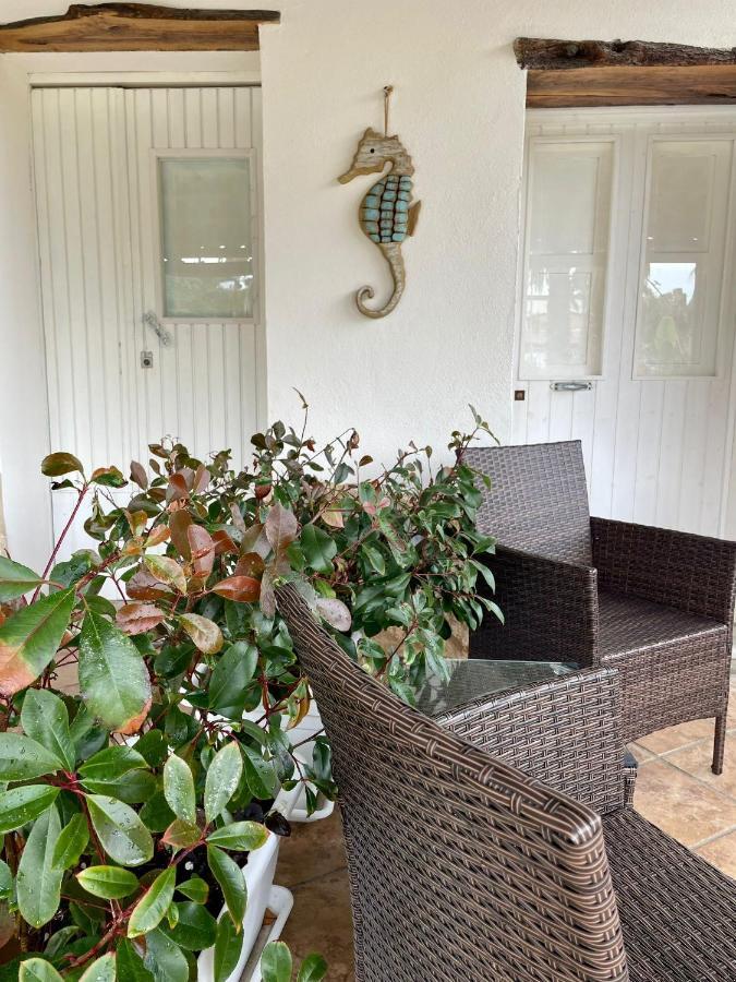 Villa Maria Elena Charme B&B Capo Vaticano Kültér fotó