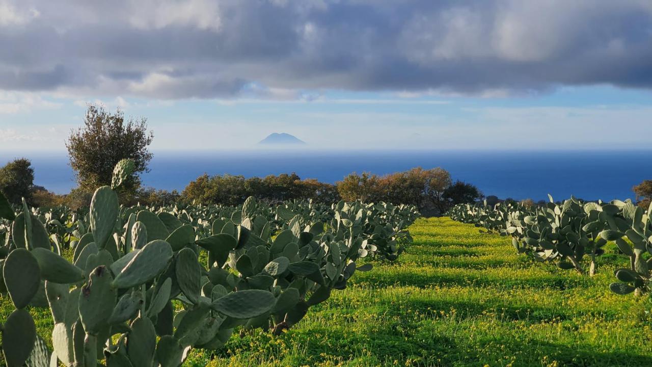 Villa Maria Elena Charme B&B Capo Vaticano Kültér fotó
